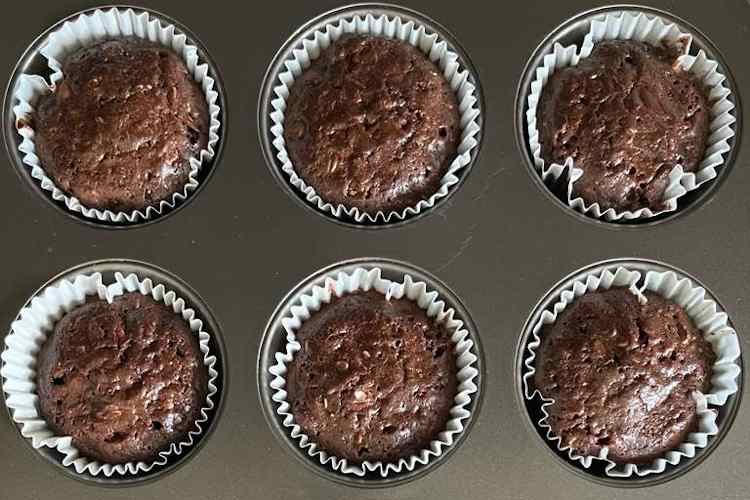 Chocolate Oatmeal Muffins